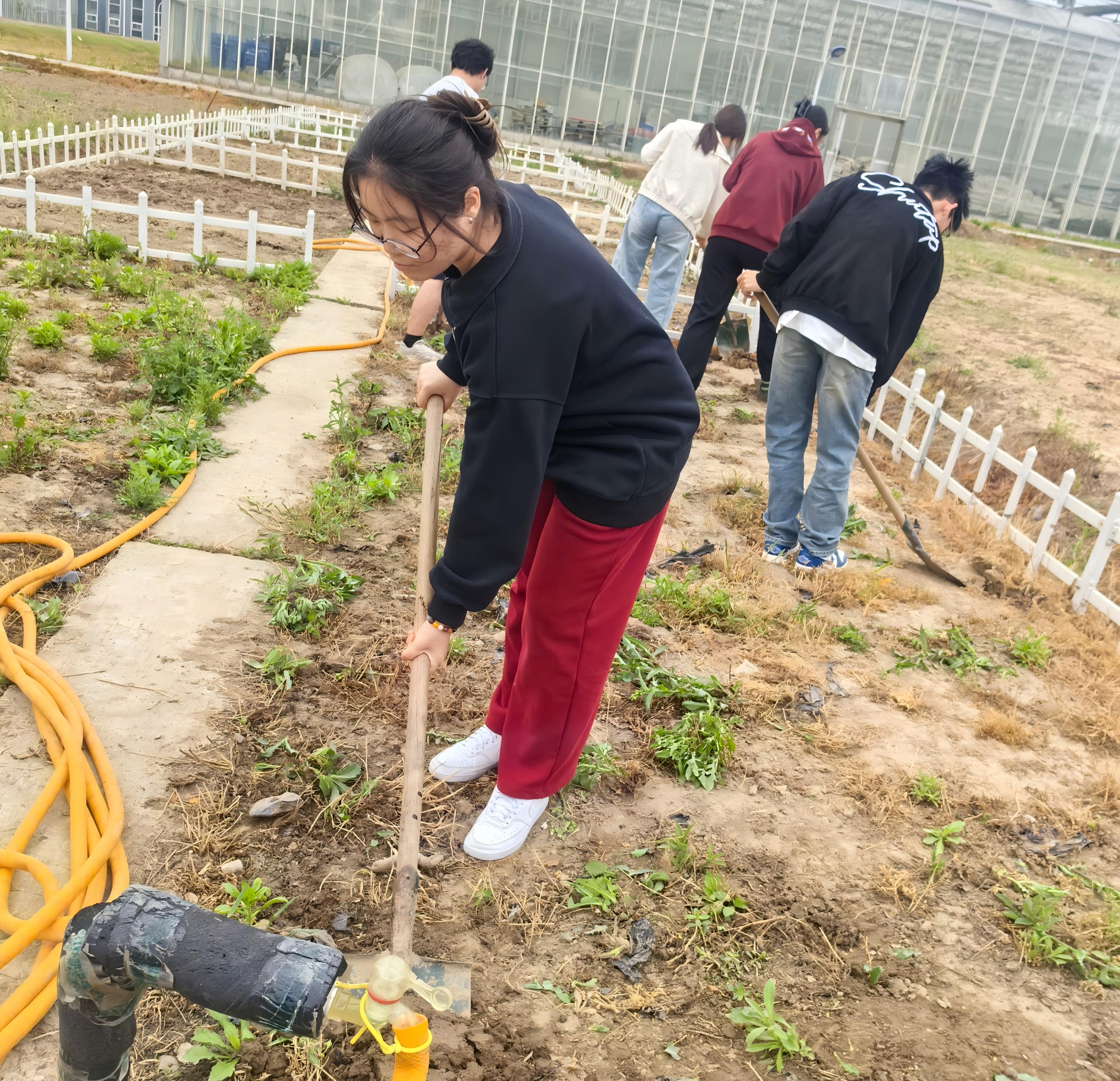 1745547310832105.jpg 新港农业3(1).jpg