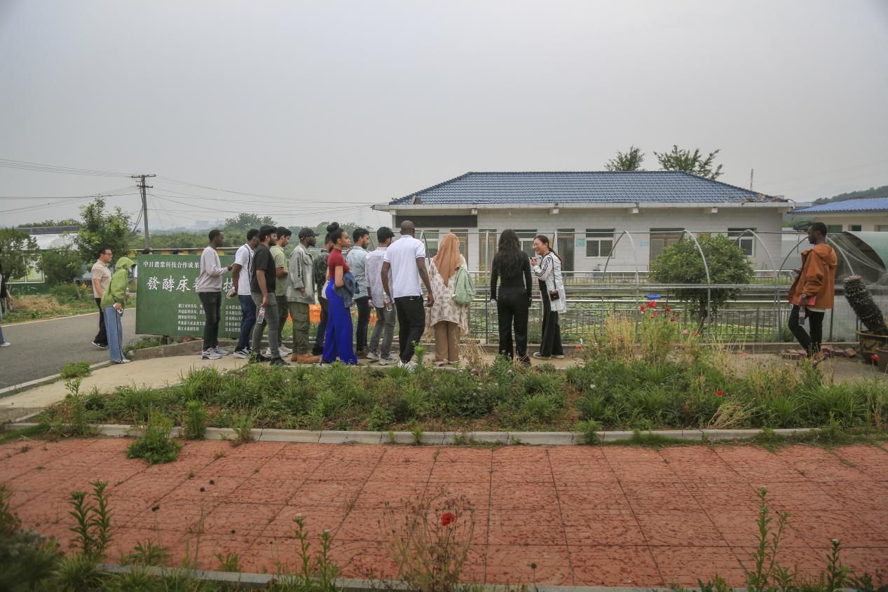 1747640251742064.jpg 7.jpg