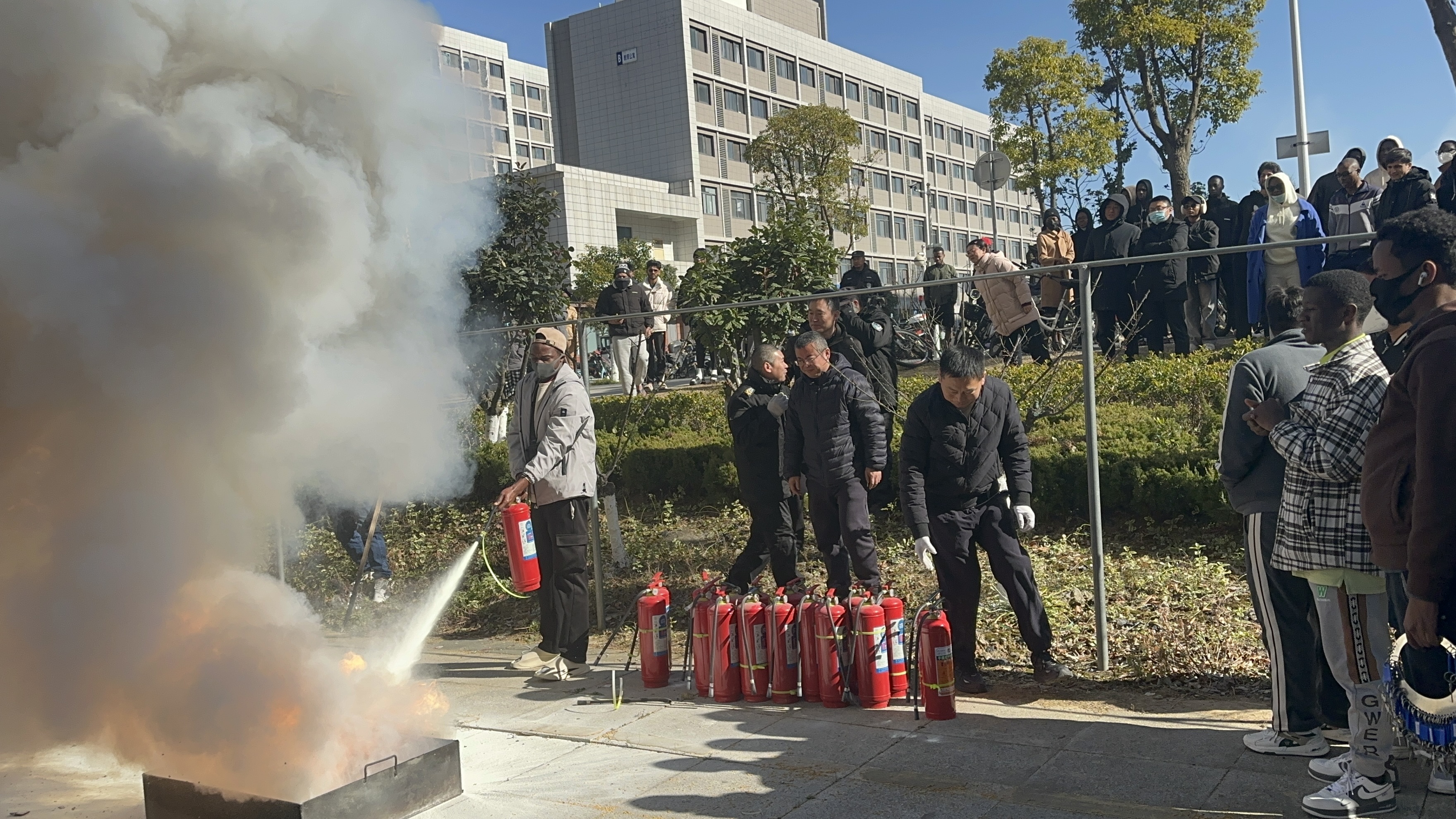 1736500231491438.jpg 4.jpg