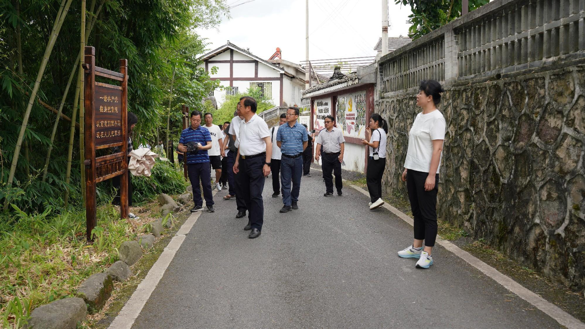 1721625192164726.png 56437080395829979213.png