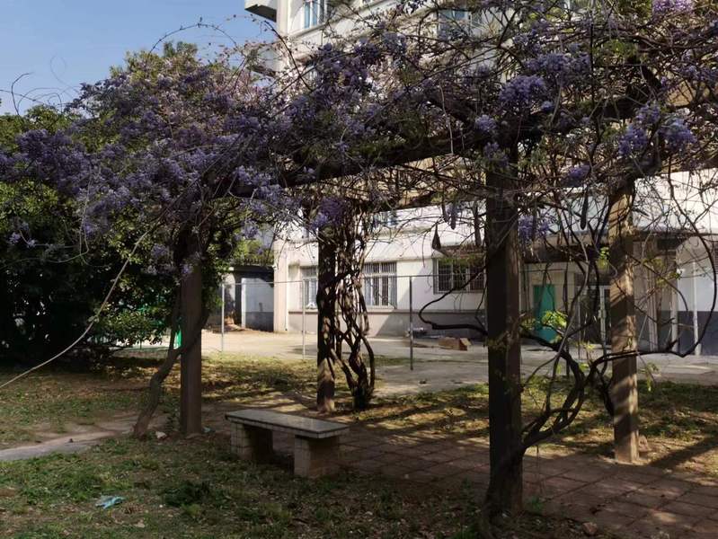 1681287401107867.jpg 1.jpg