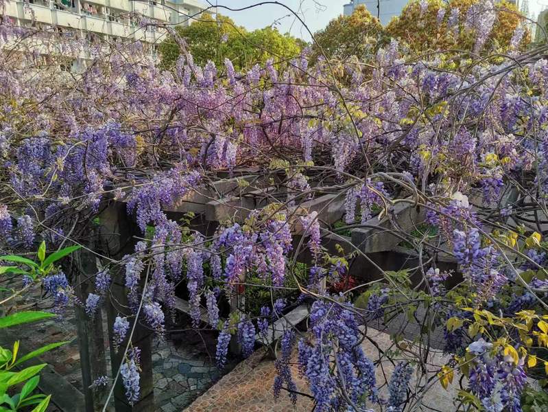 1681287413646603.jpg 2.jpg