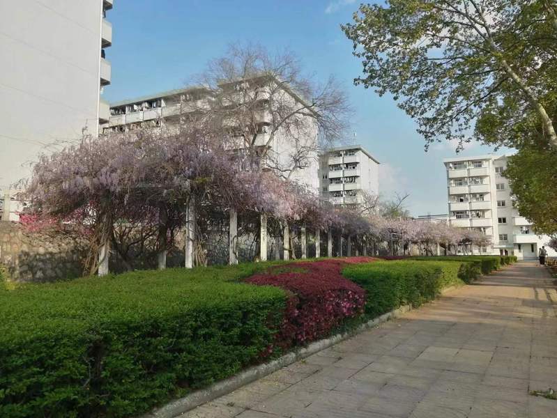 1681287433340393.jpg 4.jpg